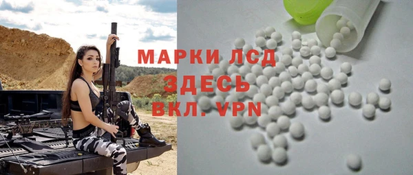 прущие грибы Заводоуковск