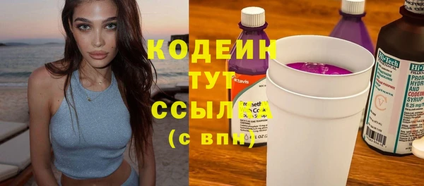 прущие грибы Заводоуковск
