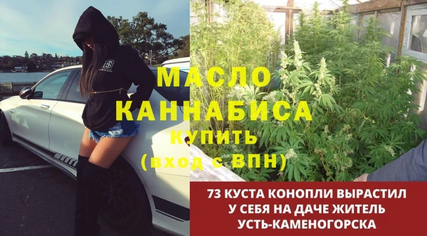 прущие грибы Заводоуковск