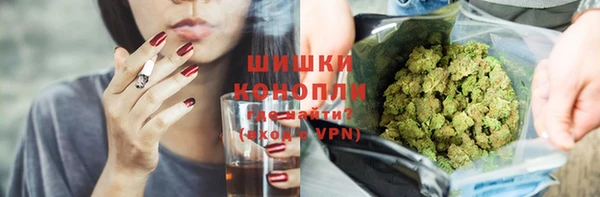 прущие грибы Заводоуковск