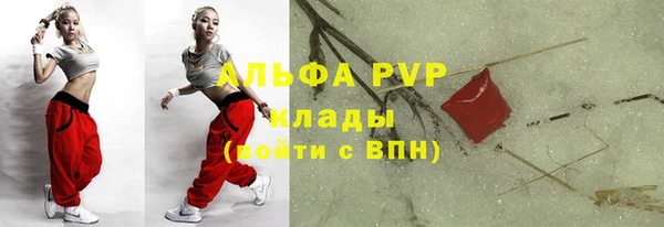 прущие грибы Заводоуковск