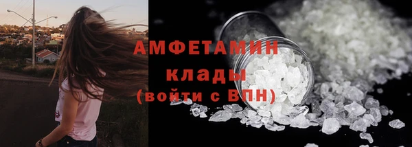 прущие грибы Заводоуковск