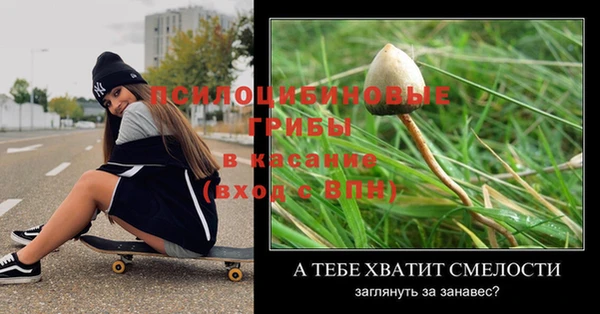 стаф Заволжск