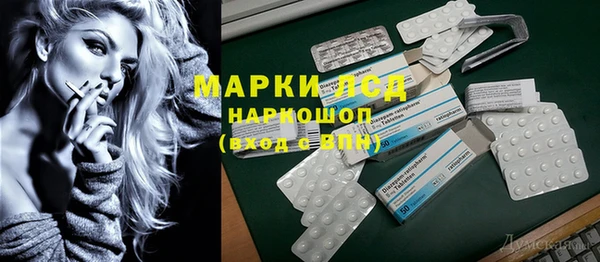прущие грибы Заводоуковск