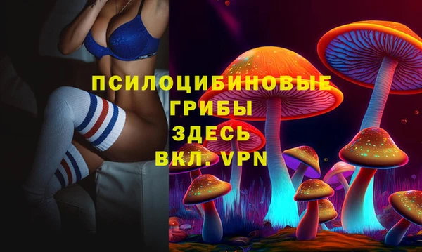 прущие грибы Заводоуковск