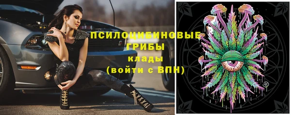 стаф Заволжск