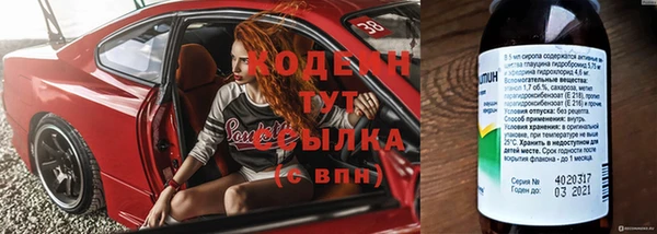 ГАЛЛЮЦИНОГЕННЫЕ ГРИБЫ Лагань