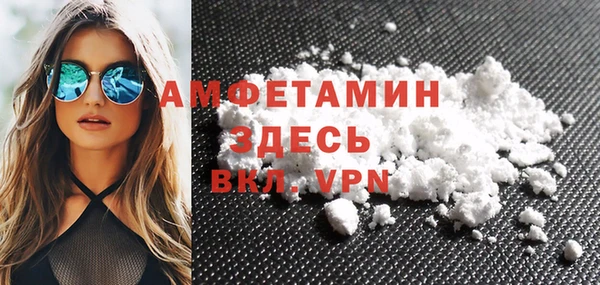 прущие грибы Заводоуковск