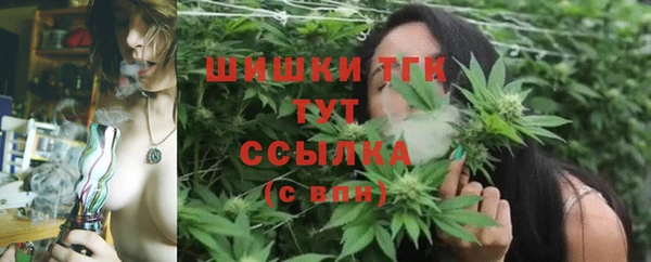 прущие грибы Заводоуковск